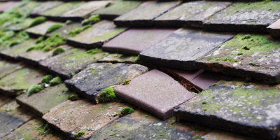 Podington roof repair costs